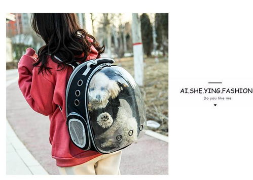 便攜透明寵物背包 湯河店太空貓包艙，出行新選擇